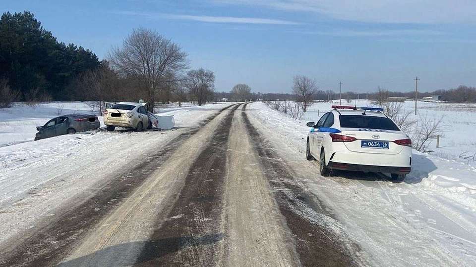 Двое детей и две автомобилистки пострадали в ДТП на воронежской трассе