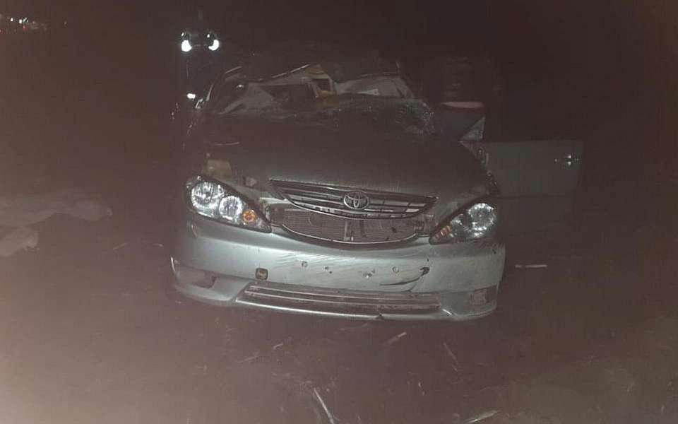 Мужчина и женщина разбились в перевернувшейся иномарке на воронежской трассе