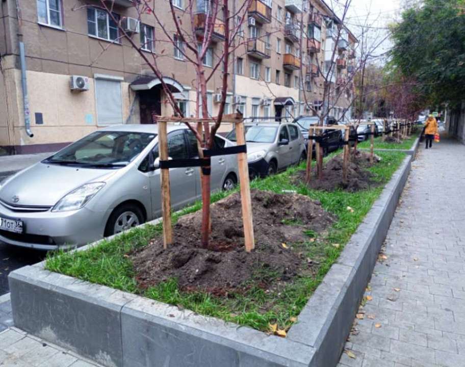 В Ленинском районе высадили фруктовый сад