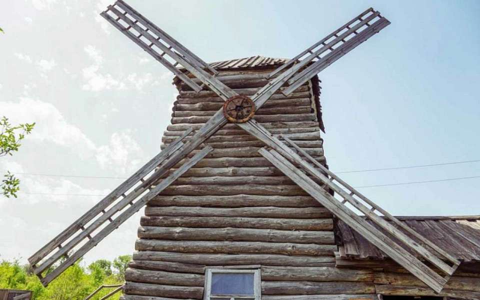 Свыше 10 тыс. тонн растительной продукции отправили на экспорт из Воронежской области