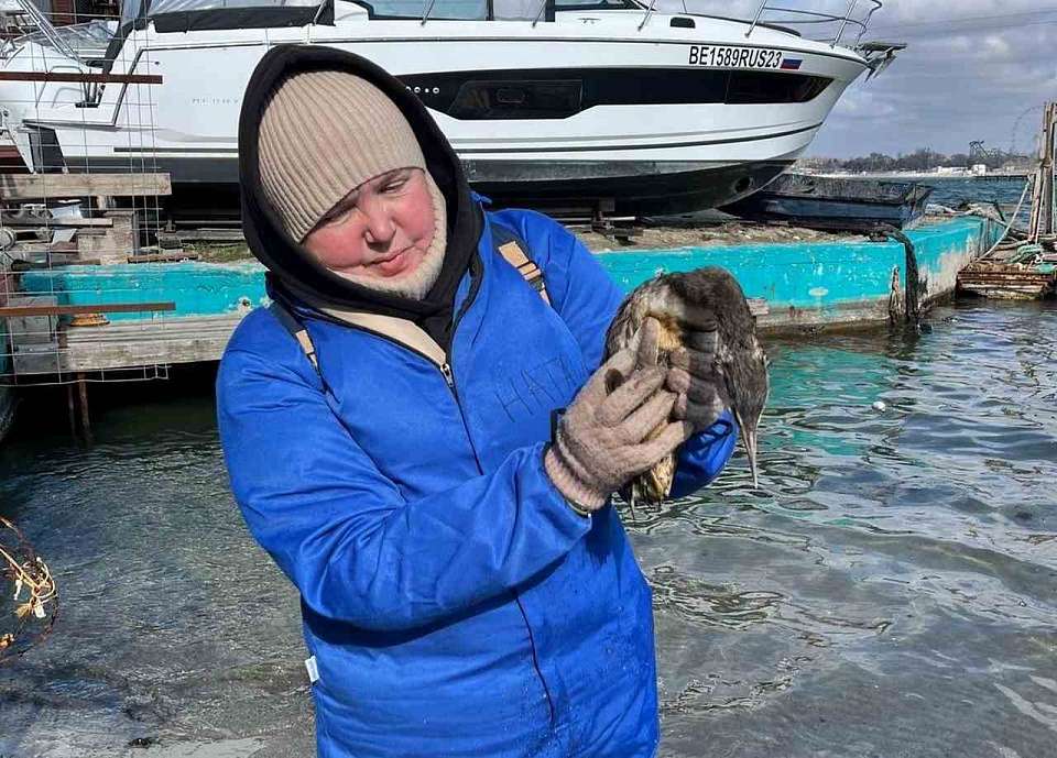 Люди с большим сердцем: как воронежские волонтёры спасали пернатых в Анапе