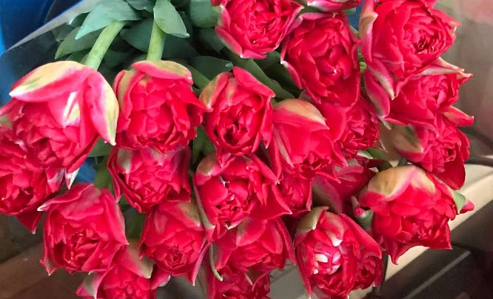 О самых желанных подарках на 8 Марта рассказали жительницы Воронежа