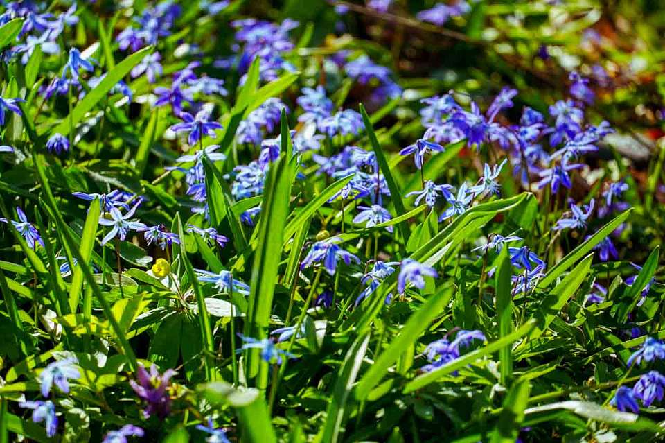 Потепление до +6 градусов ждёт воронежцев в начале недели