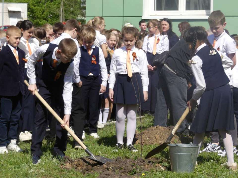 Воронежские школьники высадили десятки яблонь в преддверии 80-летия Победы