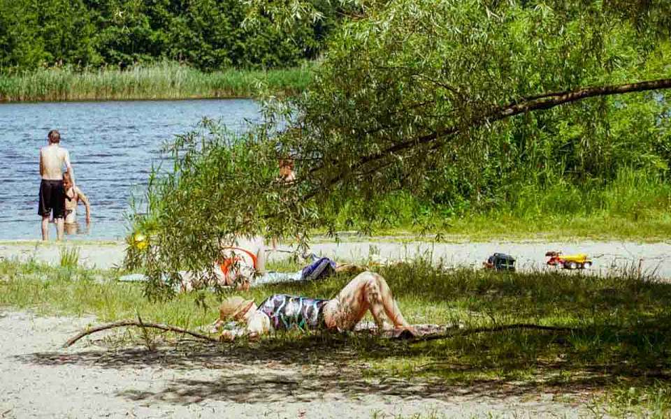 До +39 градусов раскалится воздух к концу недели в Воронежской области