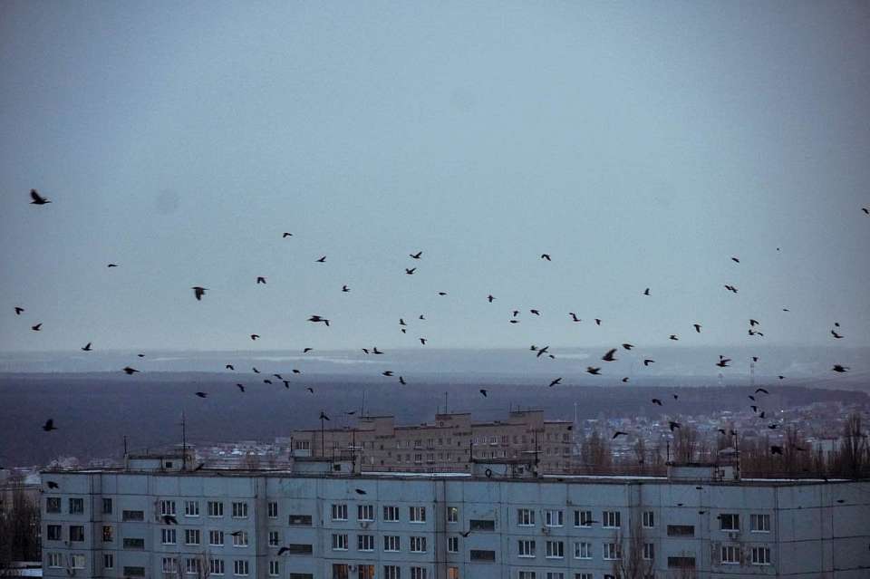 О погоде на вторник, 28 октября, рассказали воронежские синоптики