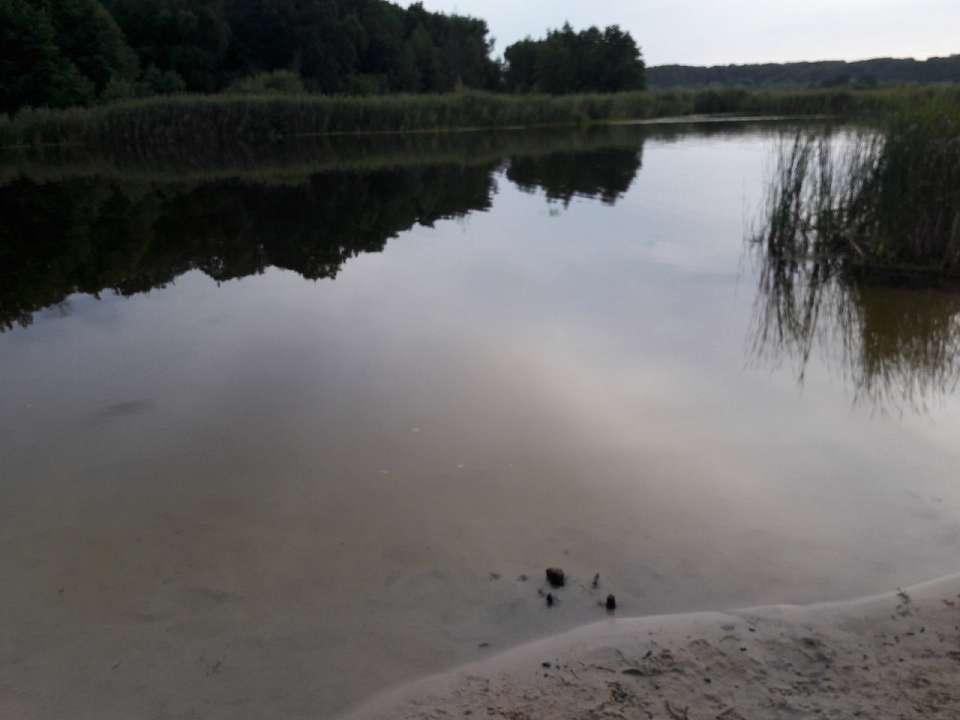 По уровню тепла 2025 год стал в воронежском заповеднике вторым