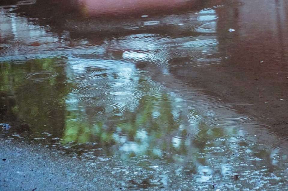 Какой будет погода в понедельник, 29 сентября, рассказали воронежцам синоптики