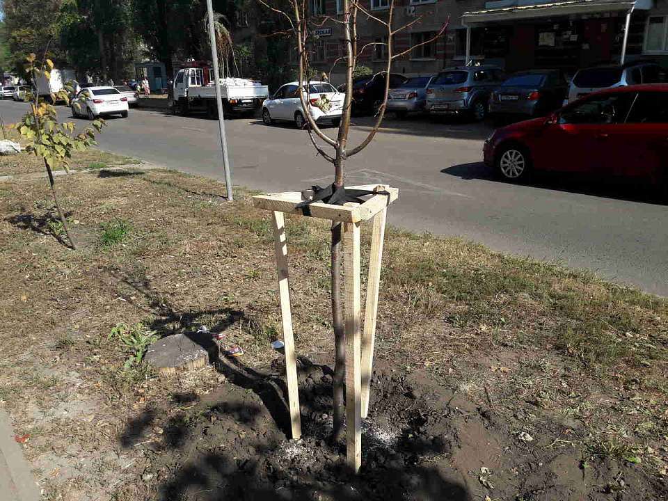 Проведение месячника по благоустройству готовится в Воронеже