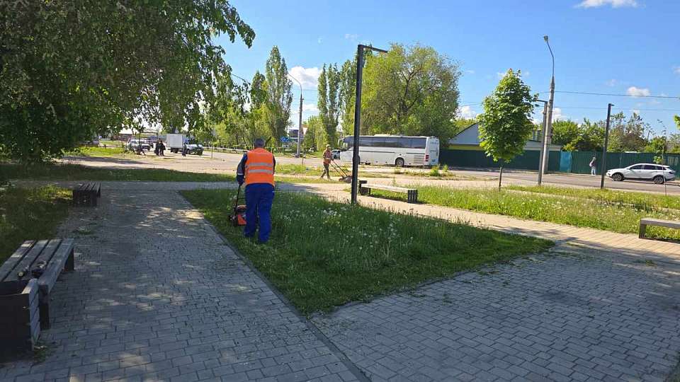 Продолжаются работы по восстановлению газонов и уходу за ними 