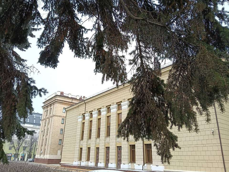 В Воронеже объявлен жёлтый уровень погодной опасности из-за сильного ветра