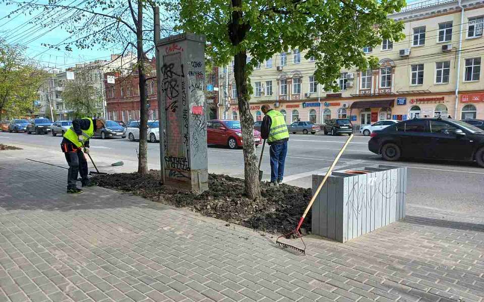 В Ленинском районе формируют газоны