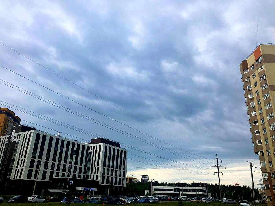 Дожди и грозы ожидаются в Воронежской области днем 29 июня