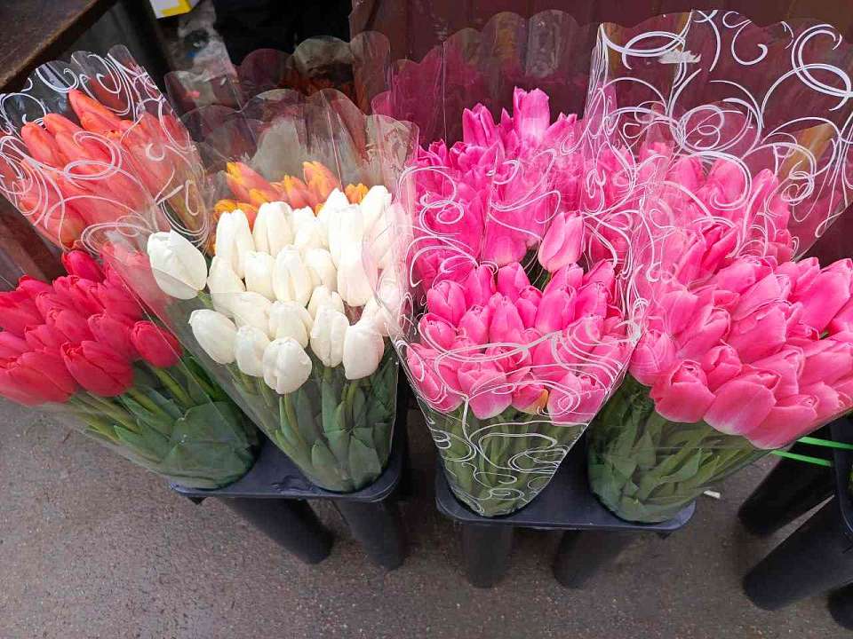 Вместо поздравления девушек 20-летний нововоронежец может сесть на 4 года за кражу цветов