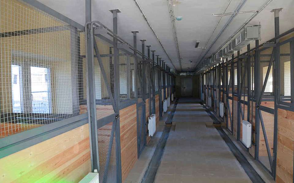 Торги на достройку приюта для бездомных собак за 21,7 млн рублей объявили в Воронеже