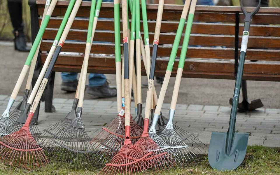 Выйти на субботник 20 апреля призвали жителей в правительстве Воронежской области