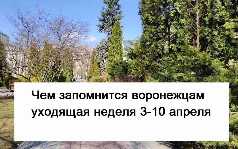 Чем запомнилась в Воронеже неделя с 3 по 10 апреля