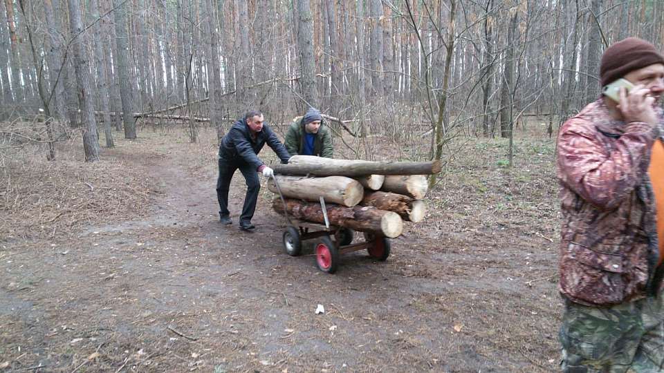 В Коминтерновском районе активисты провели масштабную экологическую акцию