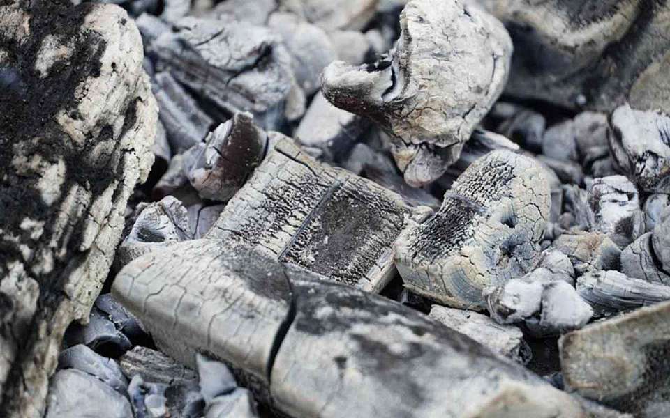 Более 1,5 тыс. аварийных деревьев сожгут в пригороде Воронежа