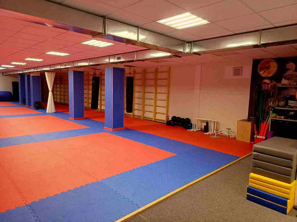 Для реабилитации ветеранов СВО адаптивный спорт будут развивать в Воронежской области