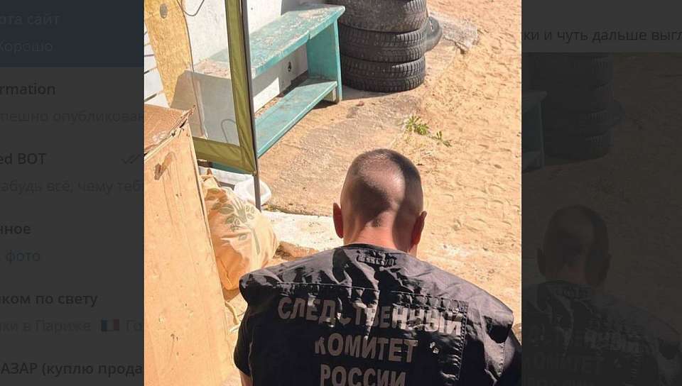 Один человек погиб, двое и ребёнок пострадали при взрыве боеприпаса на воронежском хуторе