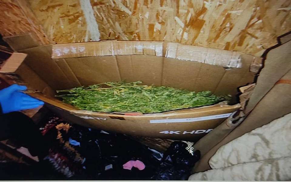 У жителя воронежского села нашли более трёх килограмм конопли