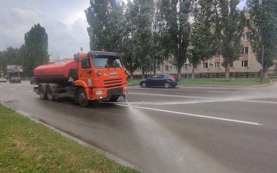 О работе по поливу городских магистралей рассказали власти Воронежа 