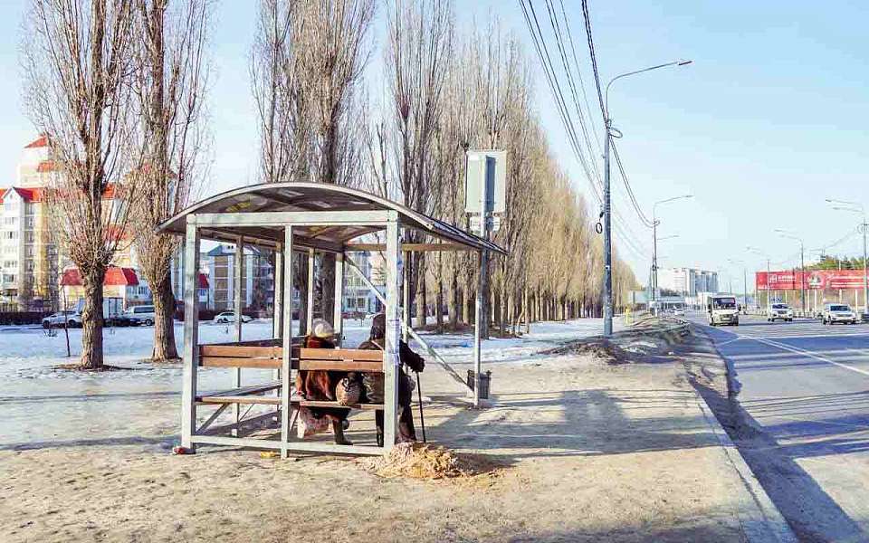 Популярную автобусную остановку перенесли в Воронеже