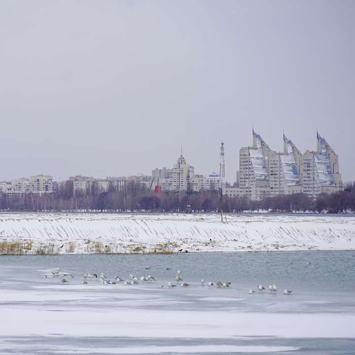 В Воронеже из-подо льда под Северным мостом достали тело женщины 