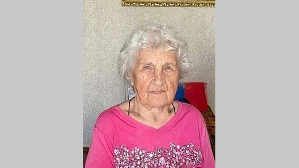 Мэр Воронежа поздравил со 103-летием Почетного гражданина города
