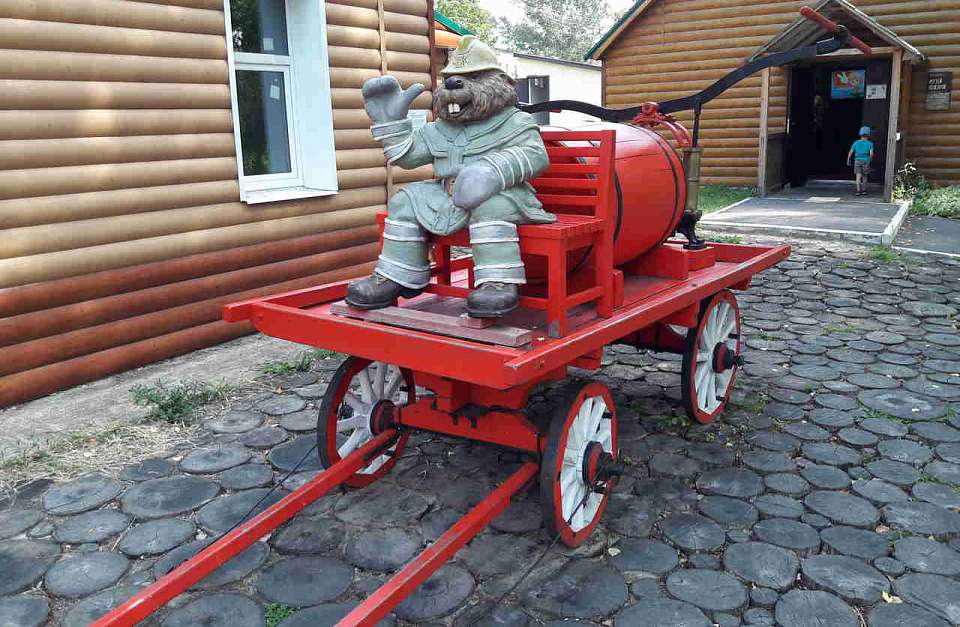 Меры по повышению пожарной безопасности граждан принимают власти Воронежской области