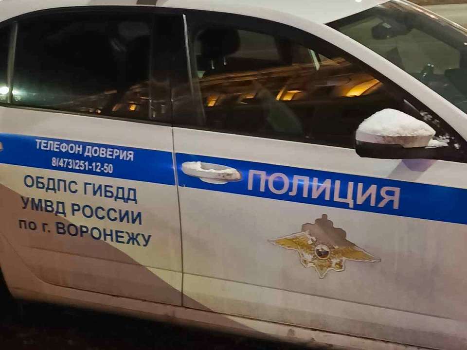 Воронежцам представили график работы подразделений Госавтоинспекции в праздничные дни