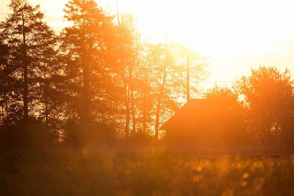 Температурный рекорд был побит в Воронеже на Пасху
