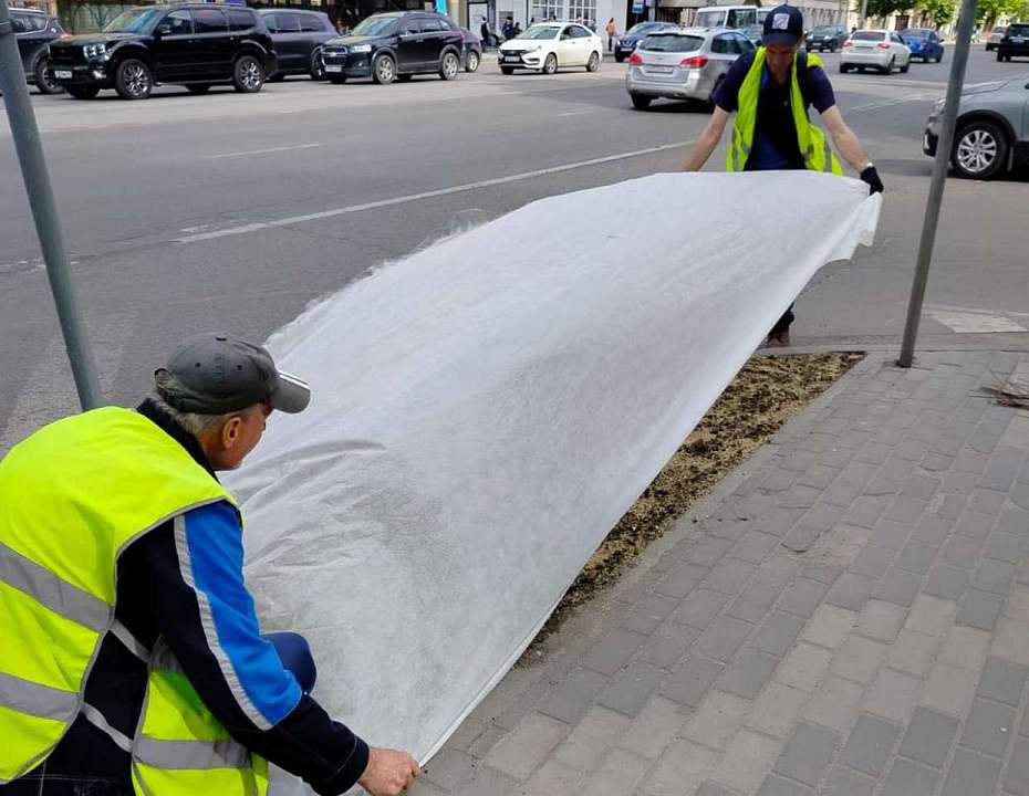 В Ленинском районе активно продолжают формировать и развивать зелёные насаждения