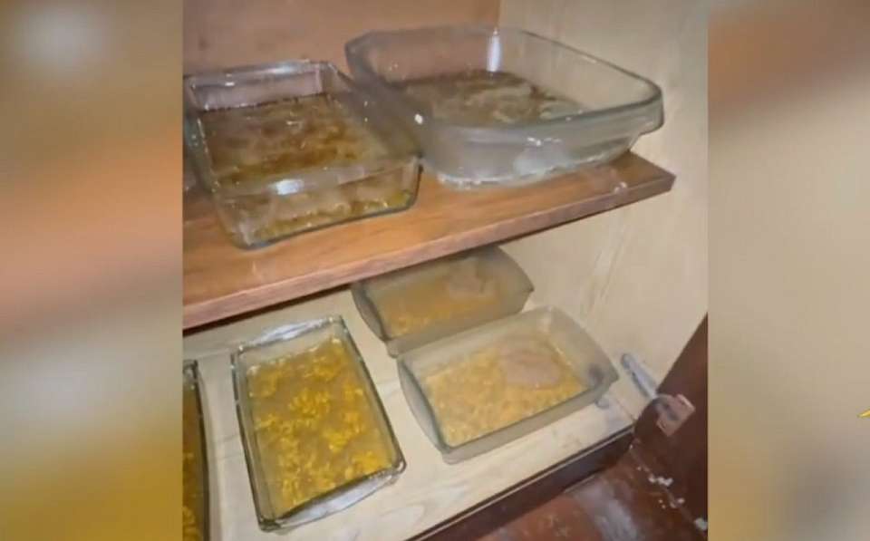 Нарколабораторию силовики накрыли в воронежском райцентре