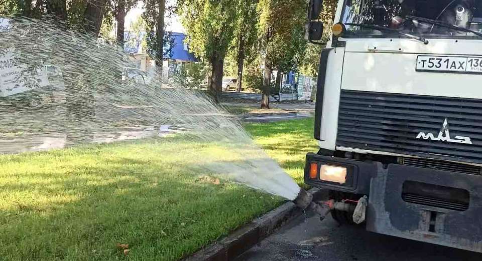 В Левобережном районе продолжают заботиться о газонах в условиях бабьего лета