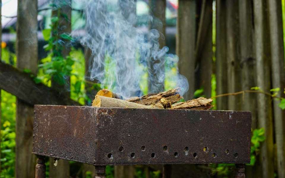 Особый противопожарный режим ввели в Воронежской области