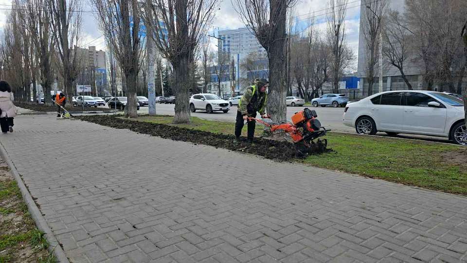 На территории района восстанавливают газоны