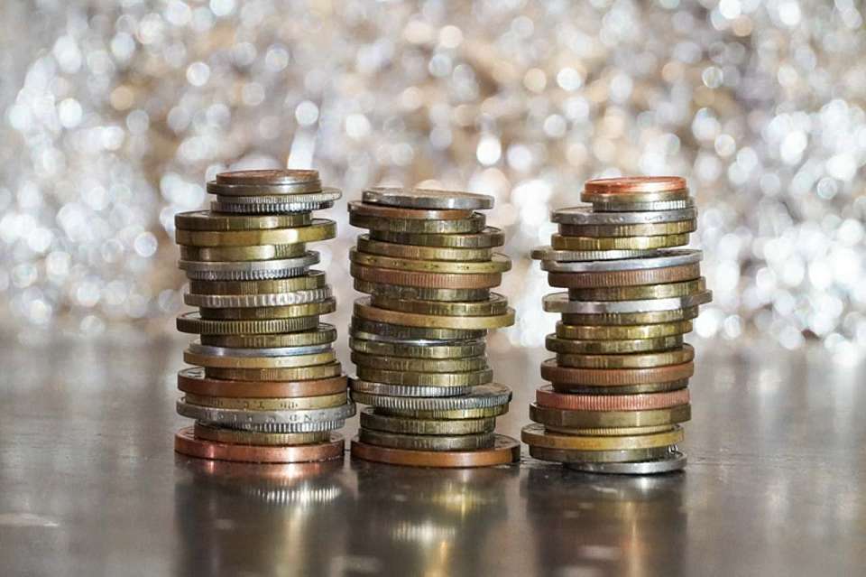 Нарушения на 61 млн при строительстве музея ВДВ и приюта для собак выявила КСП Воронежа