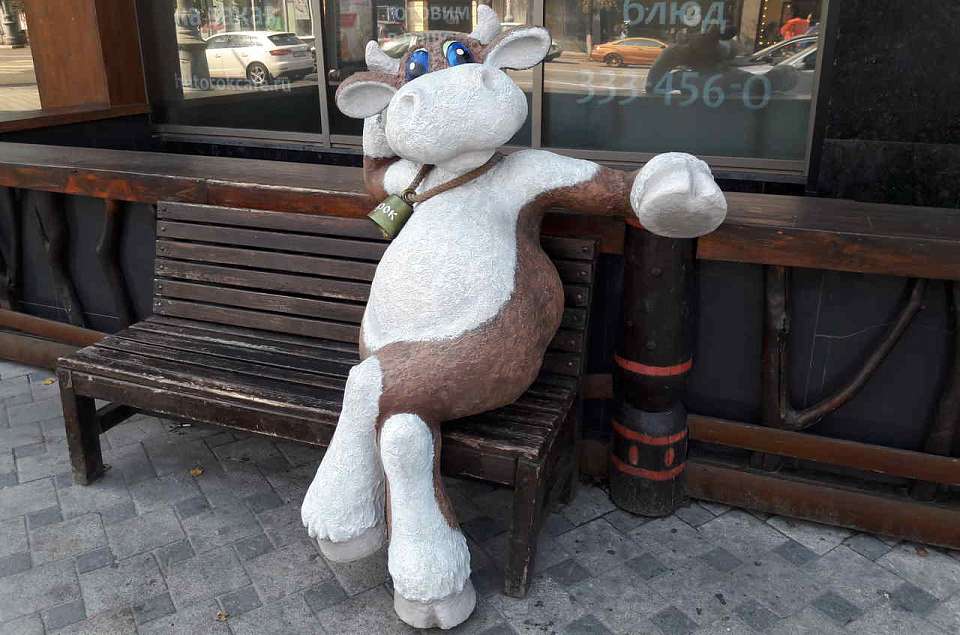 Санврачи в Воронежской области изъяли 105 килограмм опасного молока