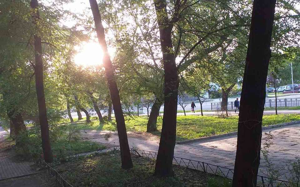 Потепление до +22 градусов ожидается в понедельник, 22 апреля, в Воронежской области