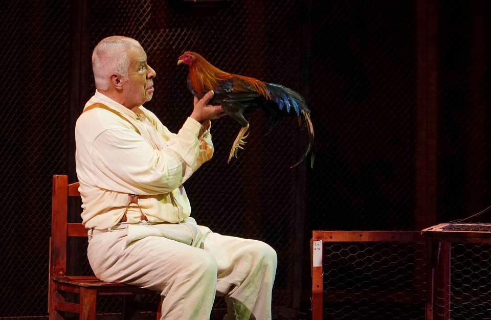 Уличные театры, спектакль по Маркесу и кубинская музыка. В Воронеже озвучили программу Платоновского фестиваля