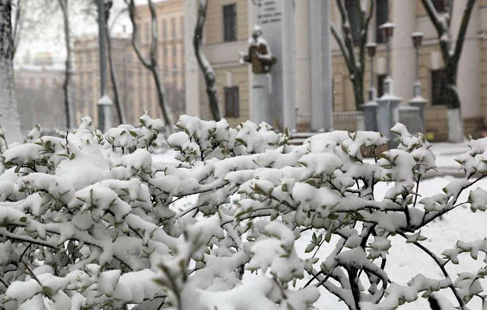 Мокрый снег накроет Воронеж в ближайшие часы