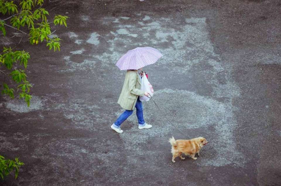 Дождливая и теплая погода придет на рабочей неделе в Воронежскую область