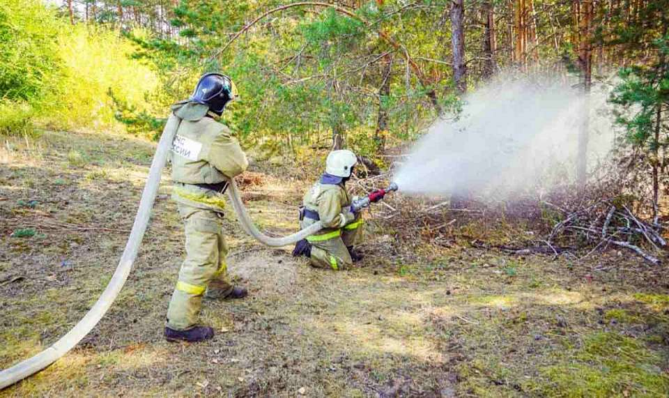 Из-за пожаров в жёлтой зоне погодной опасности оказалась Воронежская область