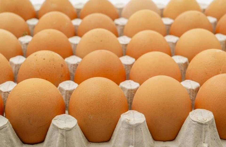 Что будет в Воронеже 10 октября. Савватий Пчельник. Всемирный день яйца. Учения у «Галереи Чижова». Запрет парковки возле Центрального рынка