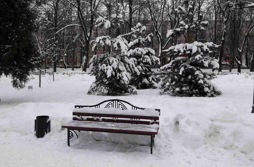Воронежцы смогут сами выбрать объекты благоустройства