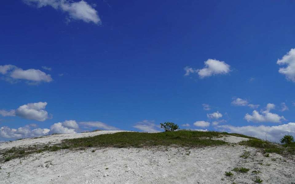 25-градусная жара накроет воронежский регион в конце недели