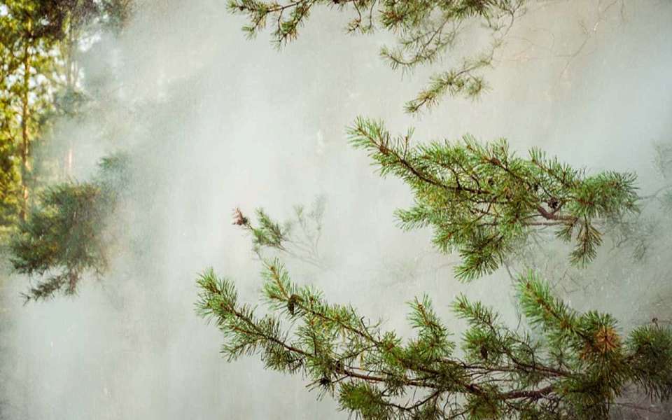 Авиалесоохрана внесла Воронежскую область в красную зону пожарной опасности