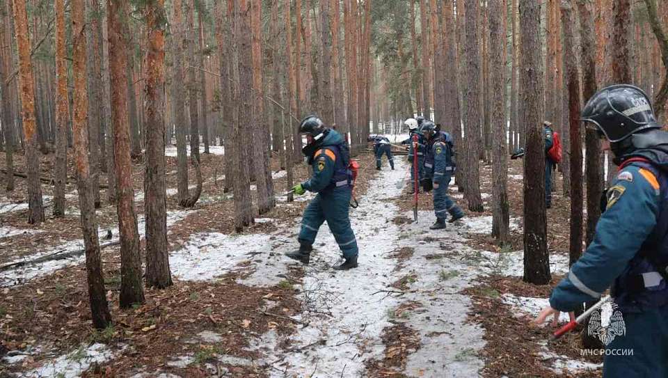Воронежские спасатели отработали ликвидацию ландшафтного пожара